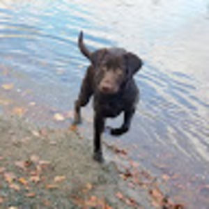 Meet your Posher, Daniel